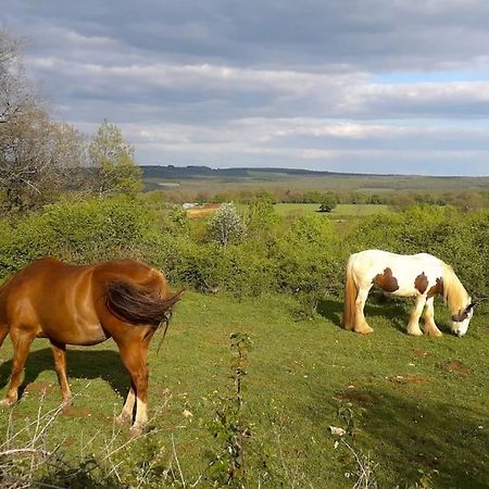 Maison De Bois En Pleine Nature A 20 Min De Beaune Montceau-et-Echarnant المظهر الخارجي الصورة