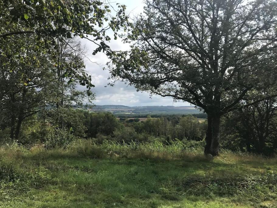 Maison De Bois En Pleine Nature A 20 Min De Beaune Montceau-et-Echarnant المظهر الخارجي الصورة